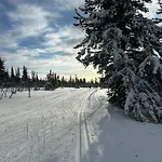 Feriehus Sjusjostua By Norgesbooking - Close To Cross Country Trails Sjusjøen