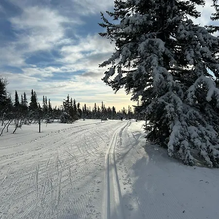 別荘 Sjusjostua By Norgesbooking - Close To Cross Country Trails Sjusjøen