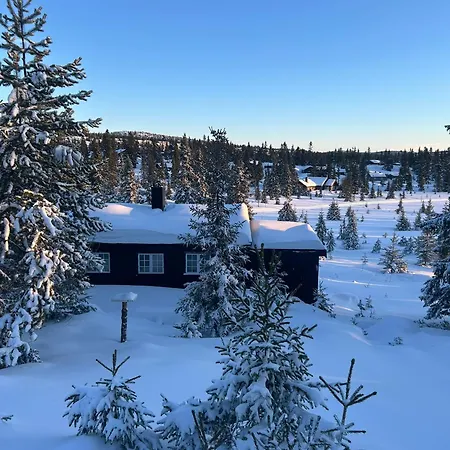 Sjusjostua By Norgesbooking - Close To Cross Country Trails Prázdninový dům Sjusjøen