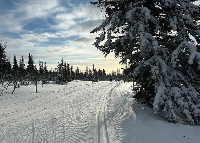 Сasa de vacaciones Sjusjostua By Norgesbooking - Close To Cross Country Trails Sjusjøen